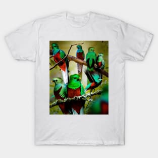 Quetzal T-Shirt